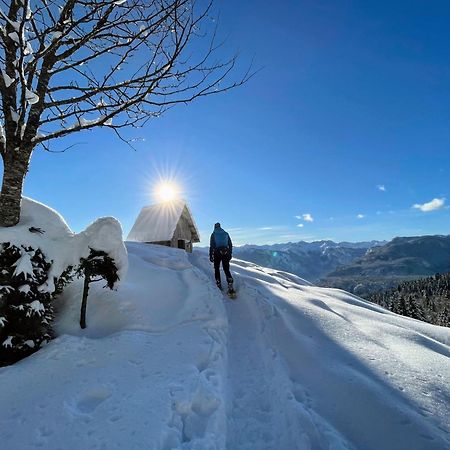 Chalet Hike&Bike Above Bohinj Valley 外观 照片
