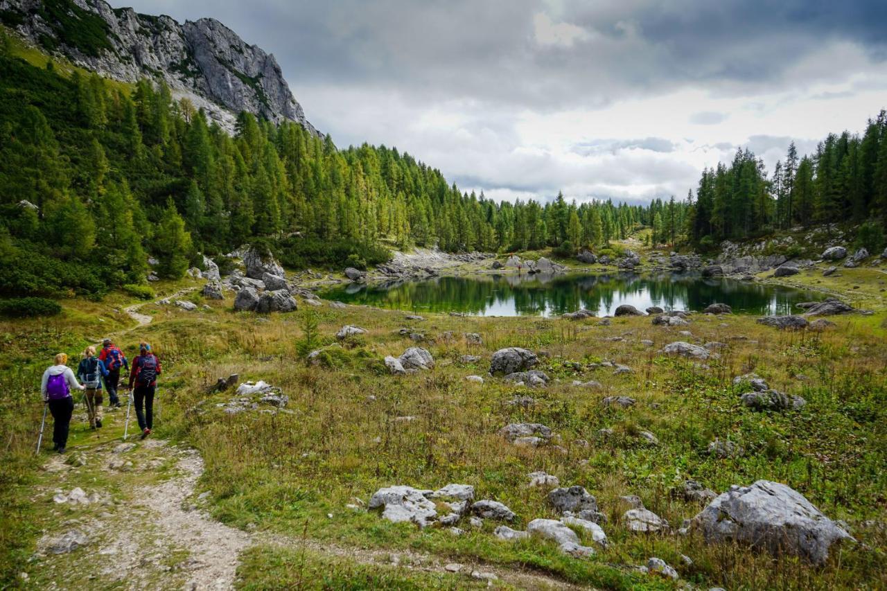 Chalet Hike&Bike Above Bohinj Valley 外观 照片