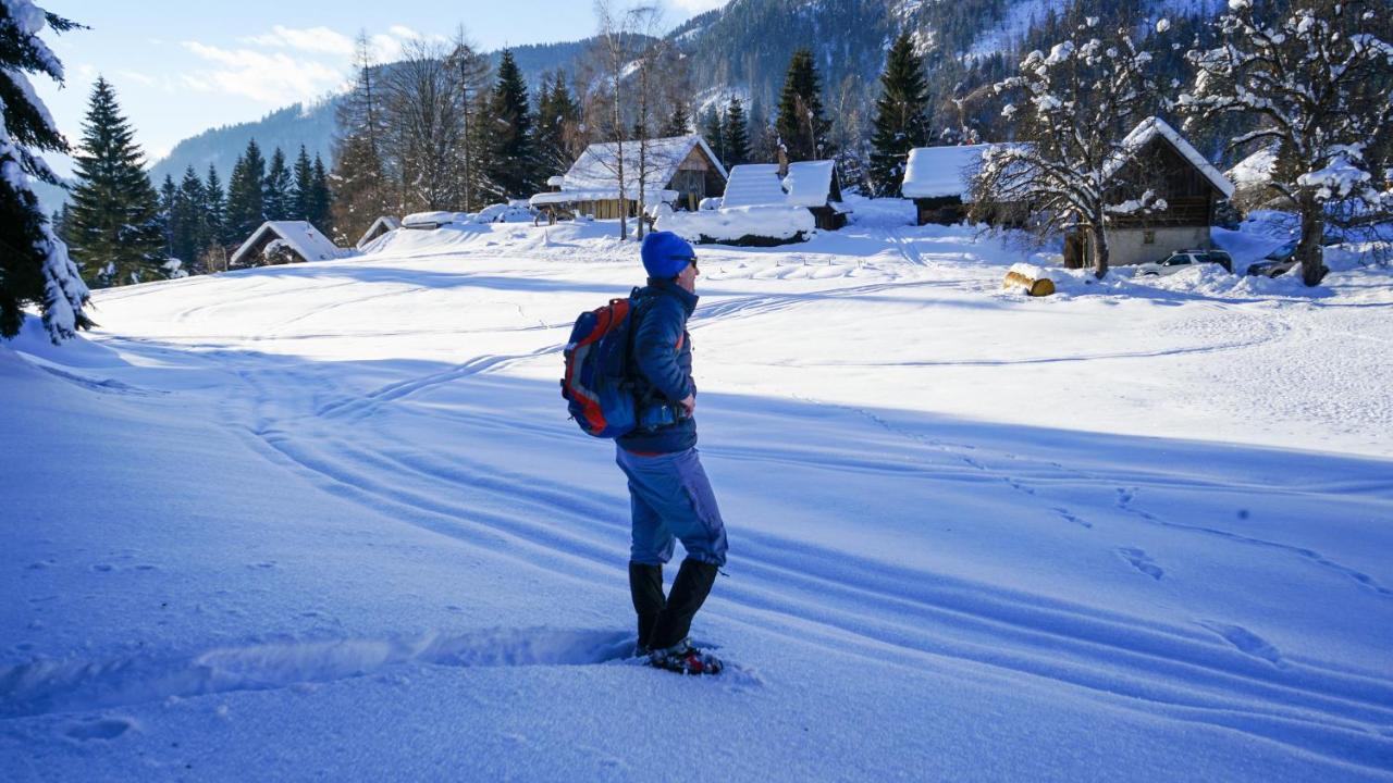 Chalet Hike&Bike Above Bohinj Valley 外观 照片
