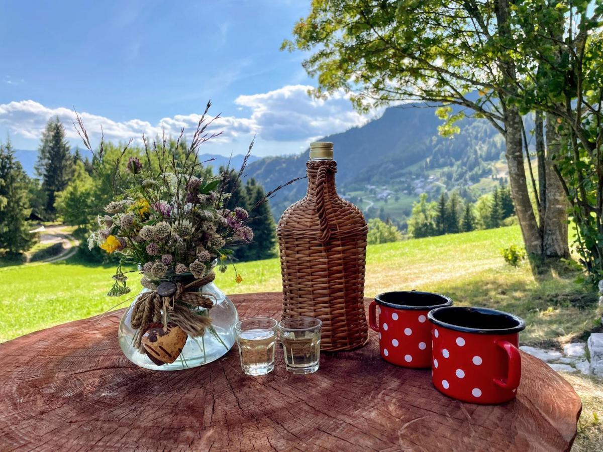 Chalet Hike&Bike Above Bohinj Valley 外观 照片