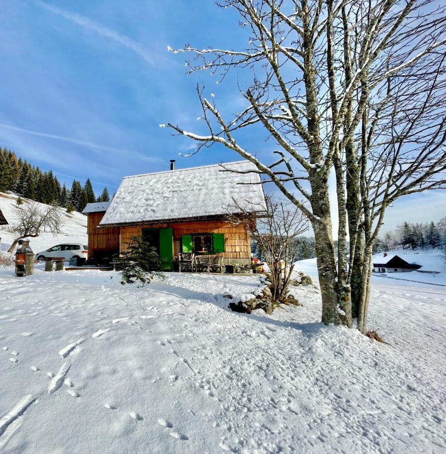 Chalet Hike&Bike Above Bohinj Valley 外观 照片