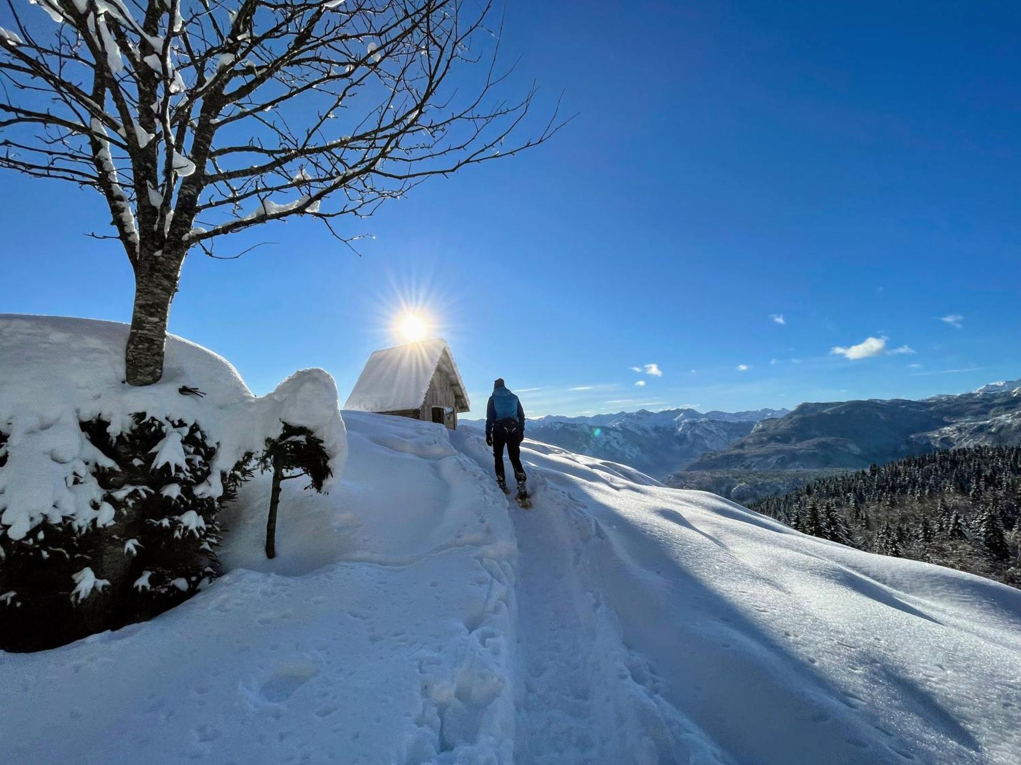 Chalet Hike&Bike Above Bohinj Valley 外观 照片