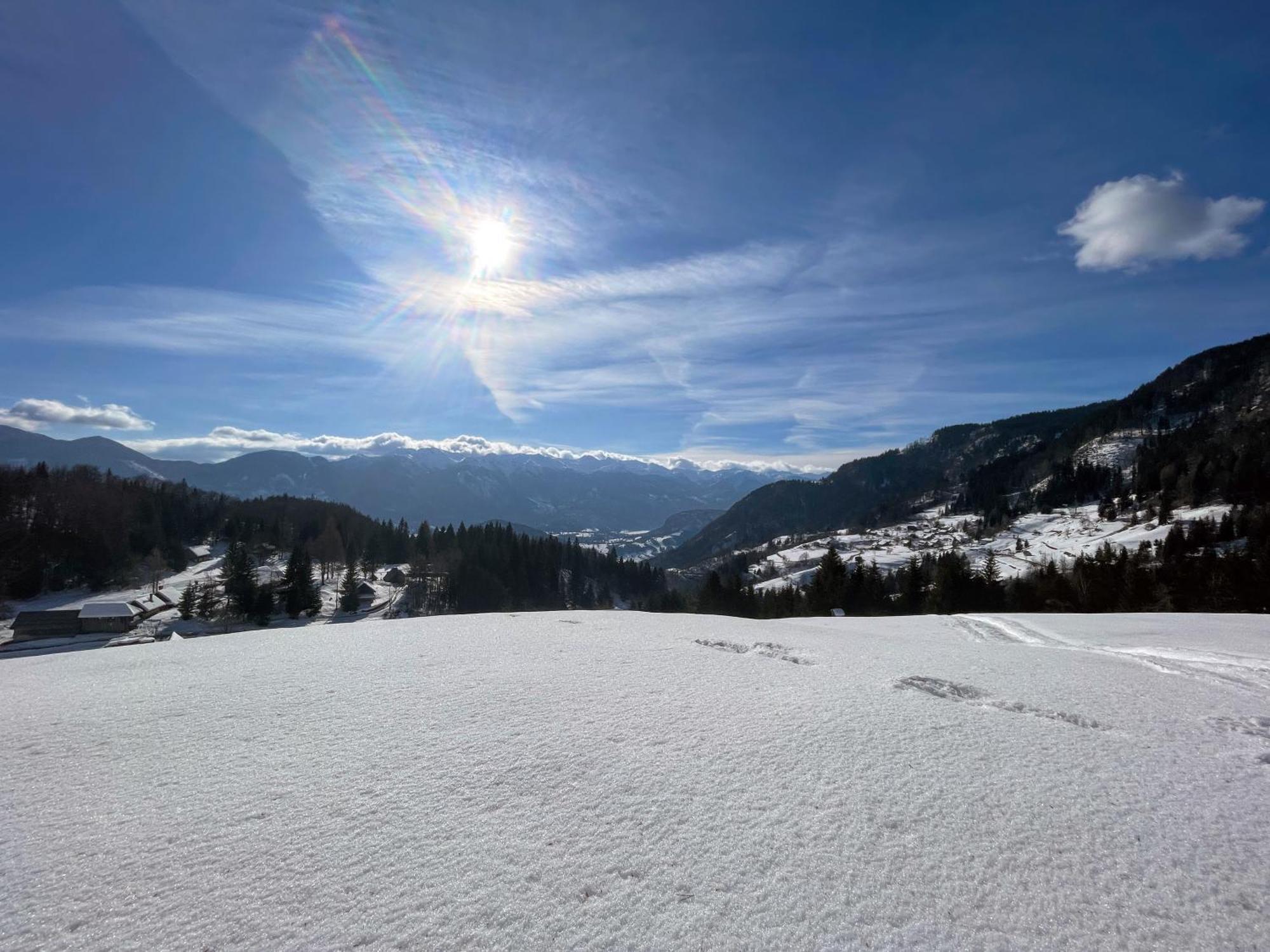 Chalet Hike&Bike Above Bohinj Valley 外观 照片